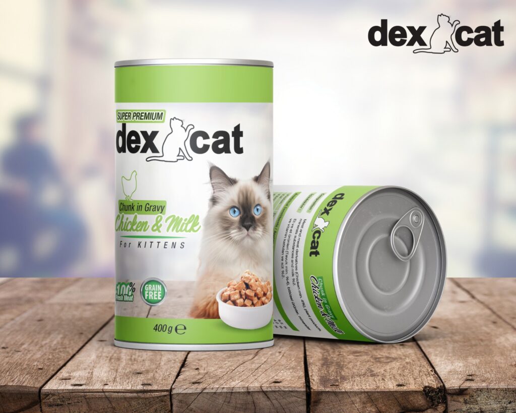 dex cat kitten chicken and milk