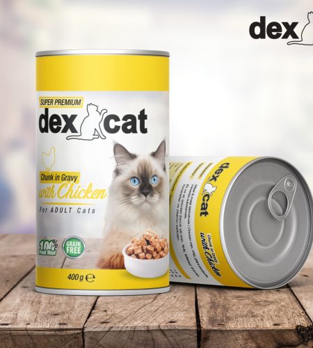dex cat adult chicken