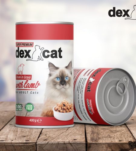 dex cat lamb